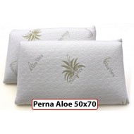 Perna Aloe Vera 50x70 cm
