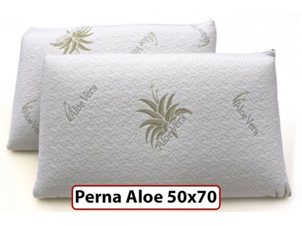 Perna Aloe Vera 50x70 cm