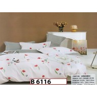 Lenjerie din bumbac 100% 6 piese - B 6116