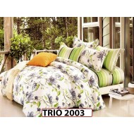 Lenjerie din finet  6 piese - TRIO 2003