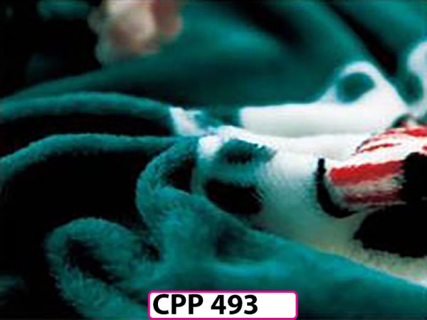 Patura Pufoasa Cocolino pentru pat dublu CPP493
