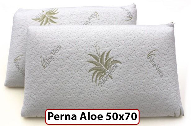 Perna Aloe Vera 50x70 cm