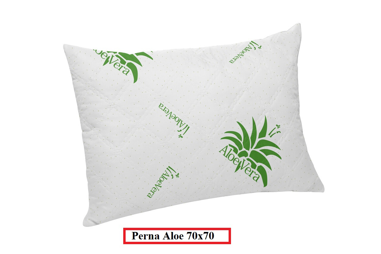 Perna Aloe Vera 70x70 cm